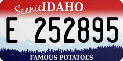 ID license plate E252895