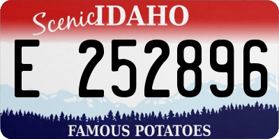 ID license plate E252896