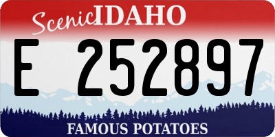 ID license plate E252897