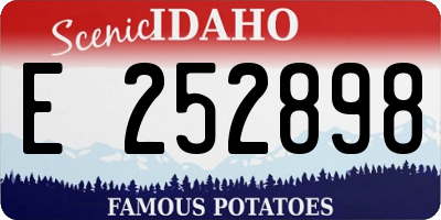 ID license plate E252898