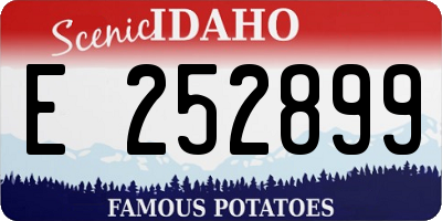 ID license plate E252899