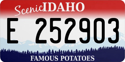ID license plate E252903
