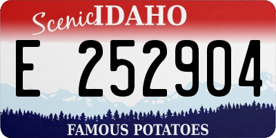 ID license plate E252904