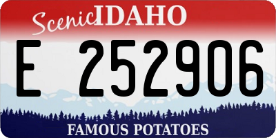 ID license plate E252906