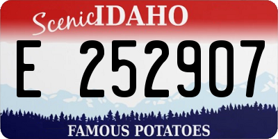 ID license plate E252907