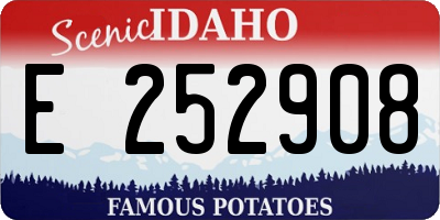 ID license plate E252908
