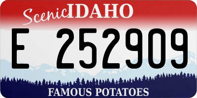 ID license plate E252909