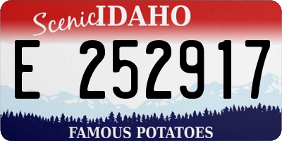 ID license plate E252917