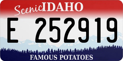 ID license plate E252919