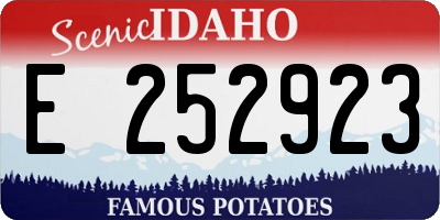 ID license plate E252923