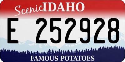 ID license plate E252928