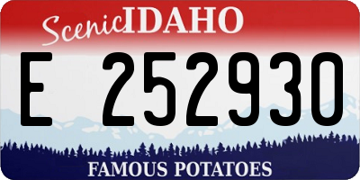 ID license plate E252930