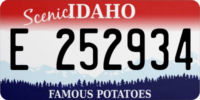 ID license plate E252934