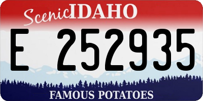 ID license plate E252935