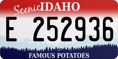 ID license plate E252936