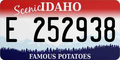 ID license plate E252938