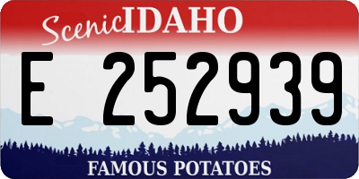 ID license plate E252939
