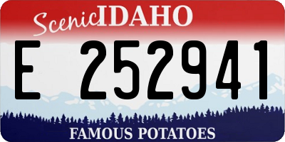 ID license plate E252941