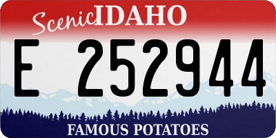 ID license plate E252944