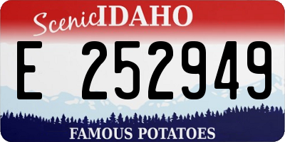 ID license plate E252949