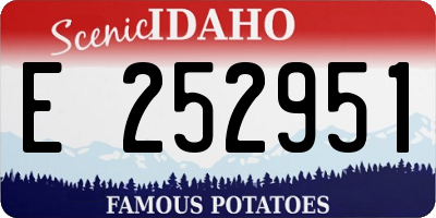 ID license plate E252951