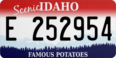 ID license plate E252954