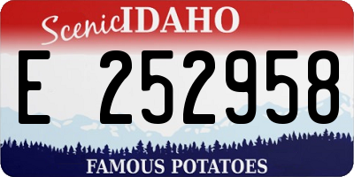 ID license plate E252958