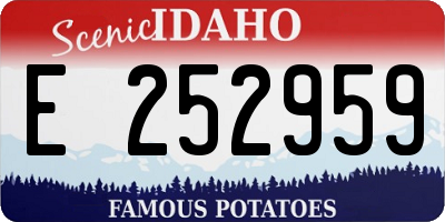 ID license plate E252959