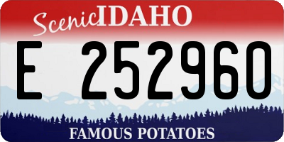 ID license plate E252960
