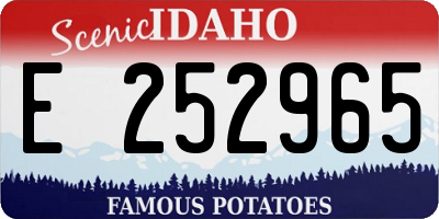 ID license plate E252965
