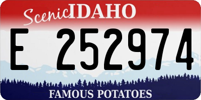 ID license plate E252974