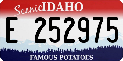 ID license plate E252975