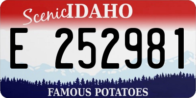ID license plate E252981