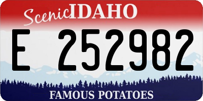 ID license plate E252982