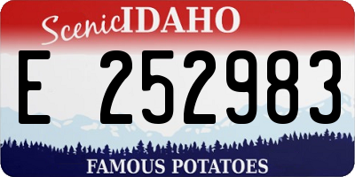 ID license plate E252983