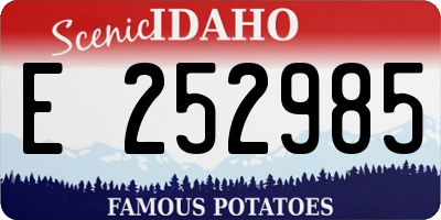 ID license plate E252985