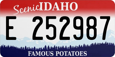 ID license plate E252987