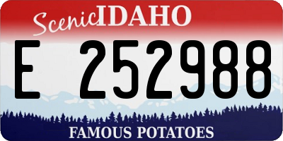 ID license plate E252988