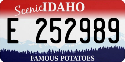 ID license plate E252989