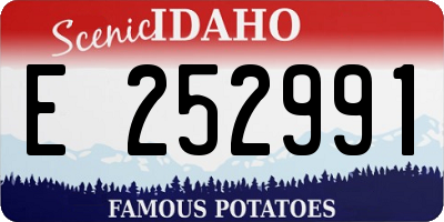 ID license plate E252991