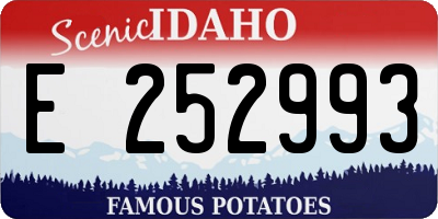 ID license plate E252993