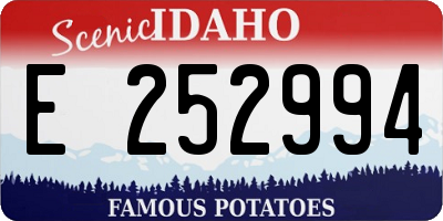 ID license plate E252994