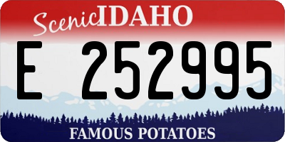 ID license plate E252995