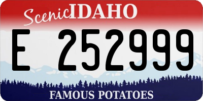 ID license plate E252999