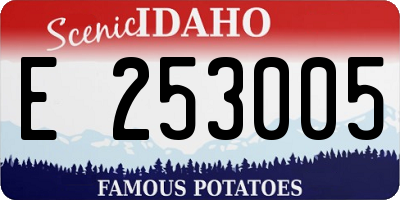ID license plate E253005