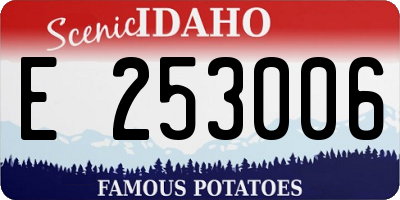 ID license plate E253006