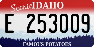 ID license plate E253009