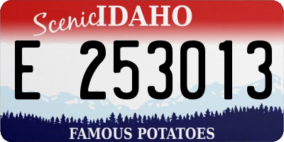 ID license plate E253013