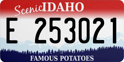 ID license plate E253021