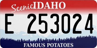 ID license plate E253024
